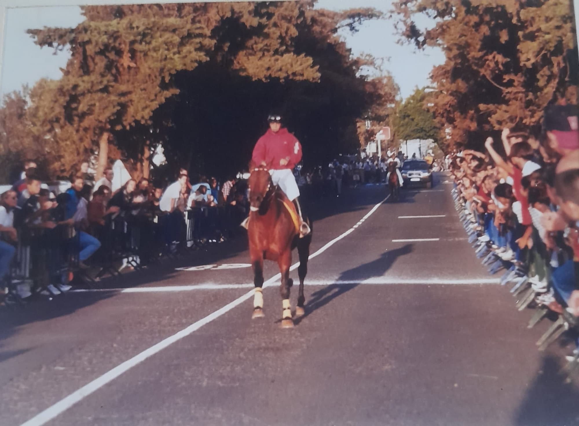 El caballo Carino en el recinto de carreras de Valsequillo